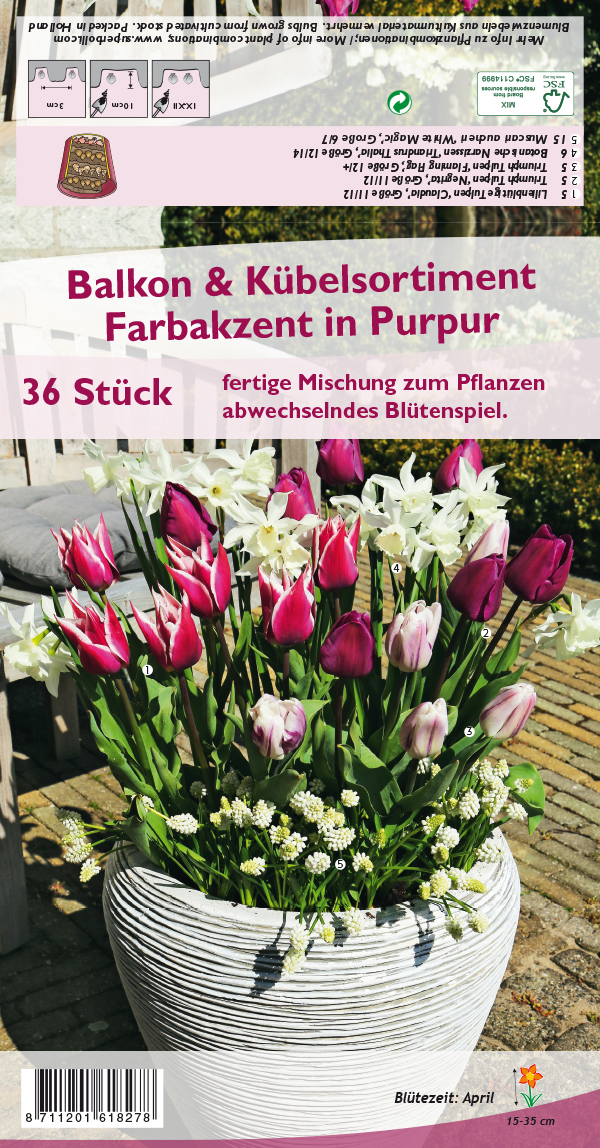 Bitte klicken Sie auf das Produktbild um ins Pflanzenportr�t zu kommen
