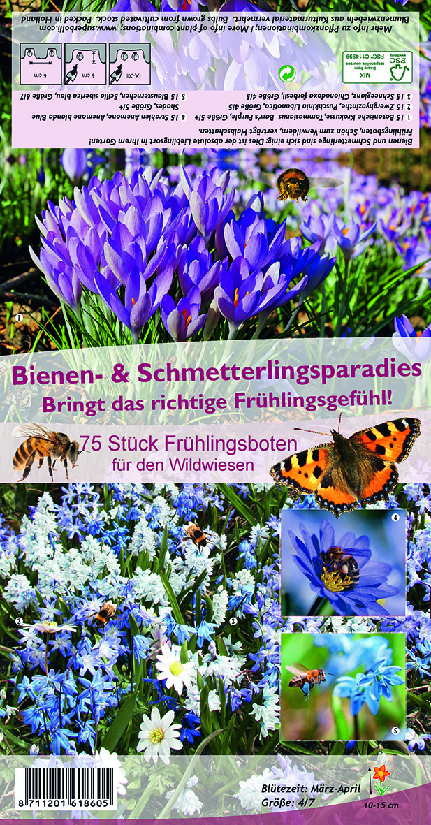 Bitte klicken Sie auf das Produktbild um ins Pflanzenportr�t zu kommen