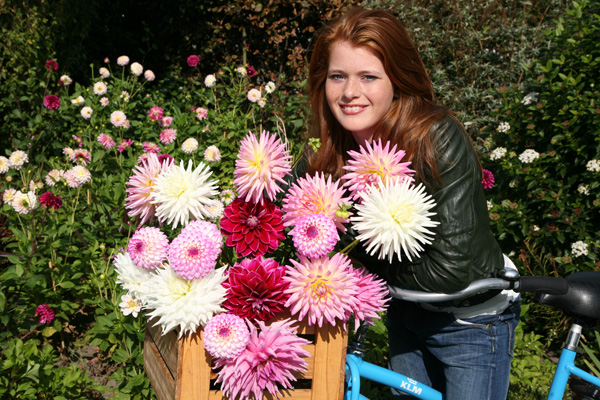 Bitte klicken Sie auf das Produktbild f�r Bolero Romantisches Rosa